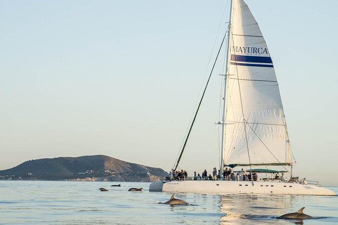 catamaran cala ratjada