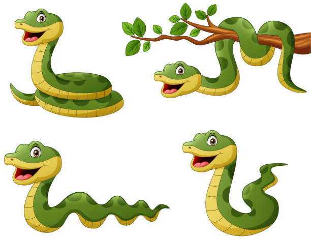 snake cartoon pic