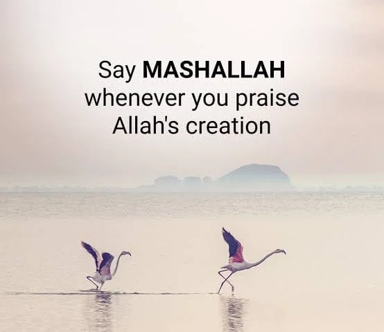 what does masha allah mean