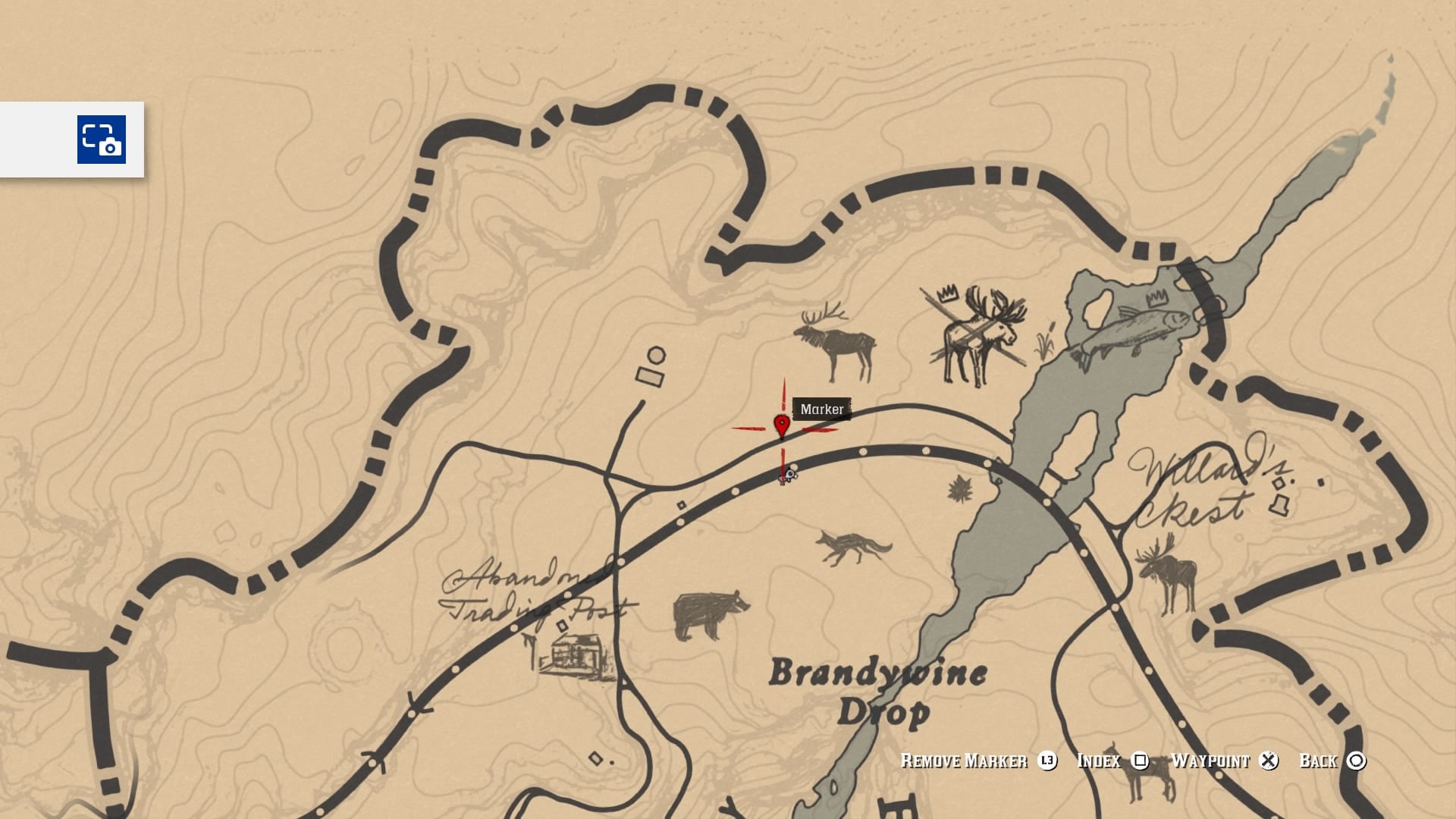 cougars rdr2