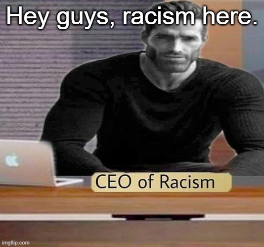 ceo of racism meme