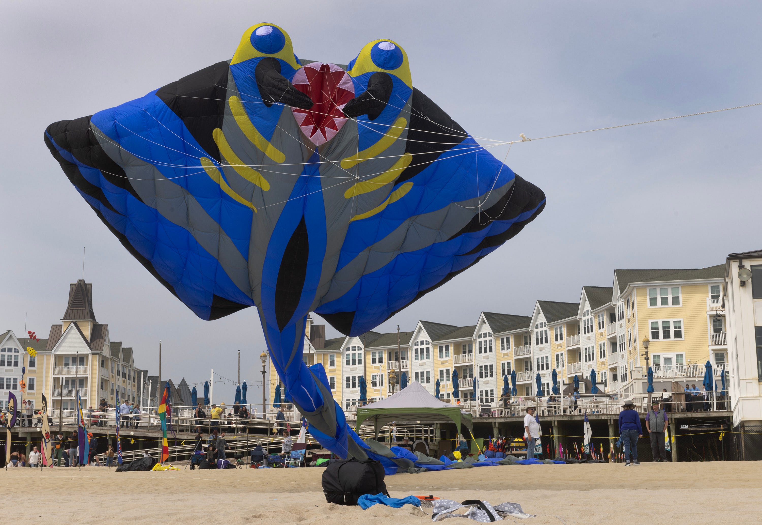 chelsea kite festival