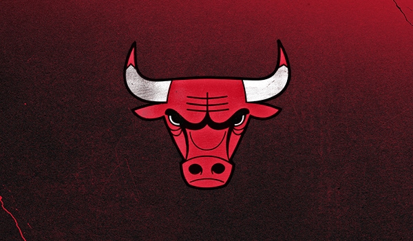 chicago bulls bull