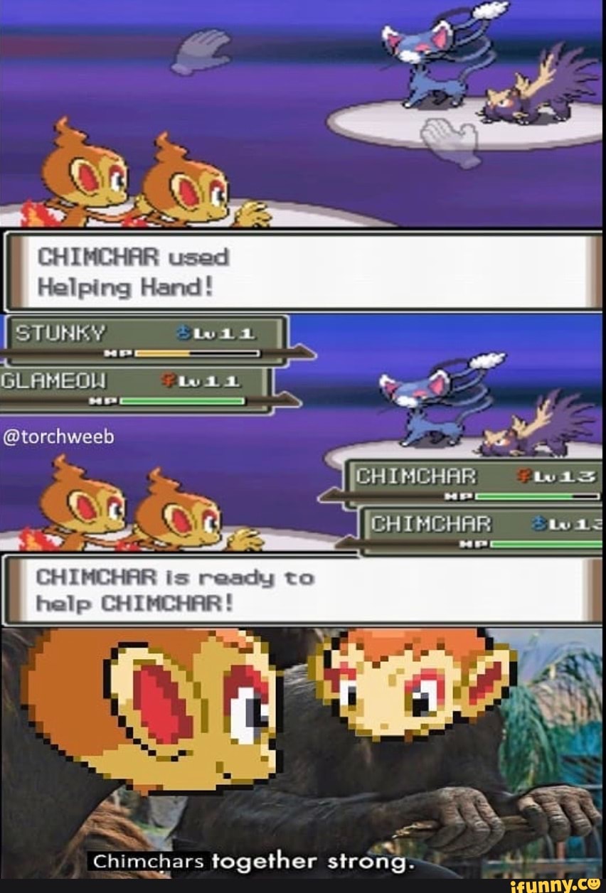 chimchar meme