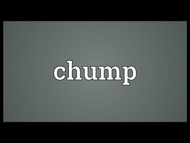 chump synonym