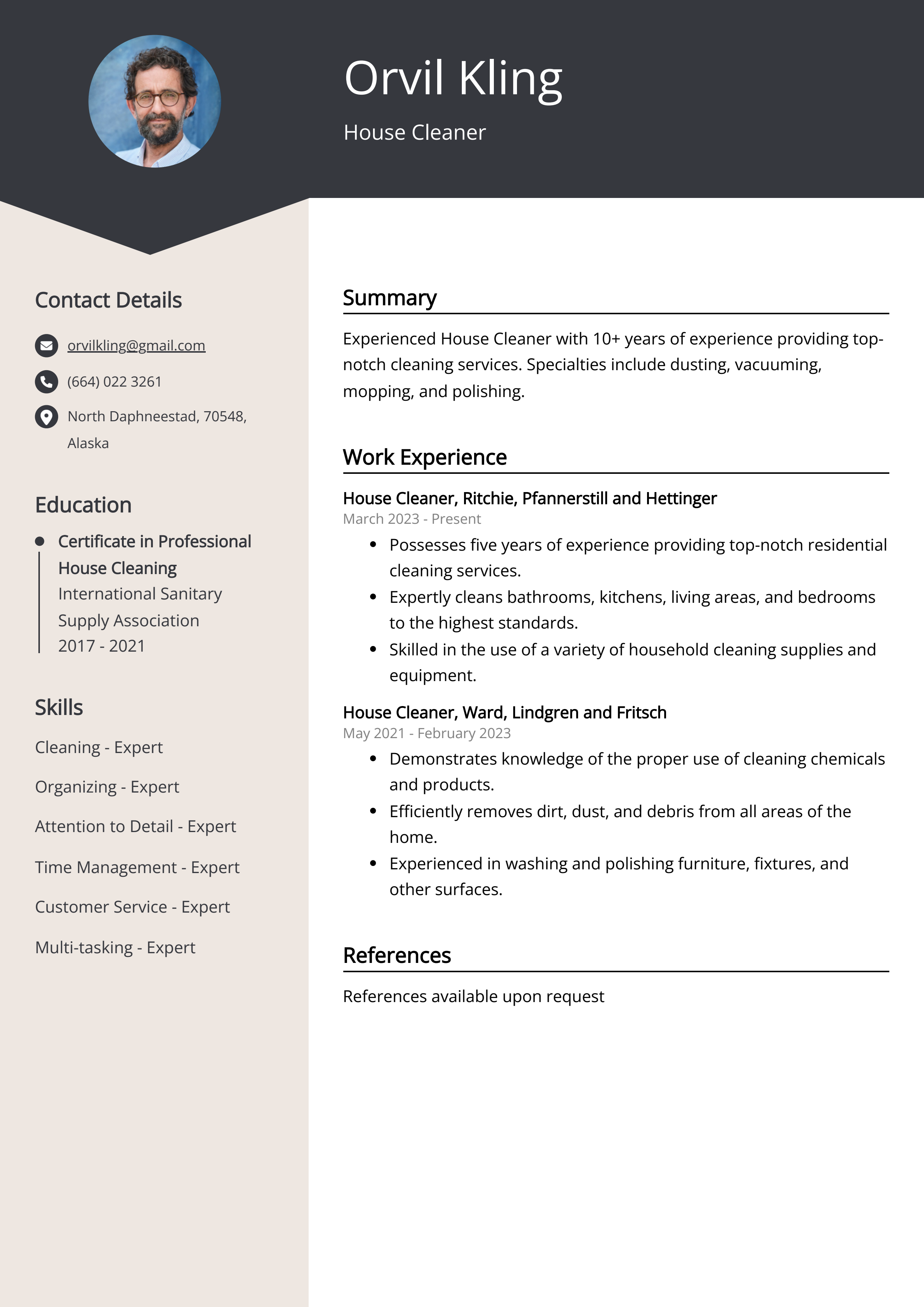 cleaner resume examples