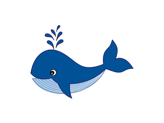 clip art whale