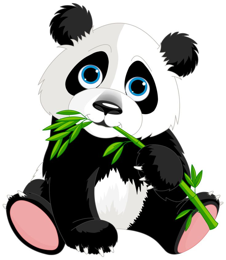 clipart panda