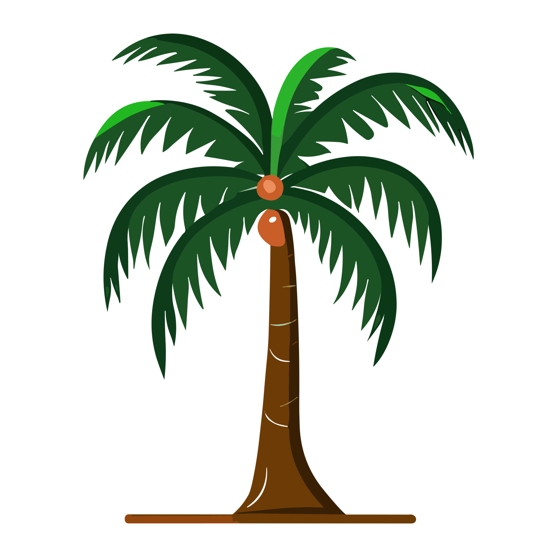 coconut tree clipart png