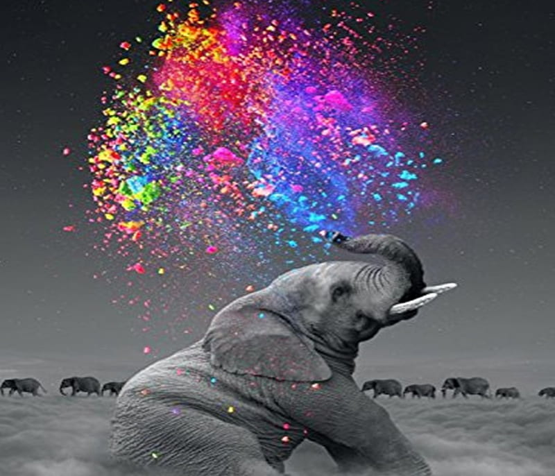 colorful elephant wallpaper