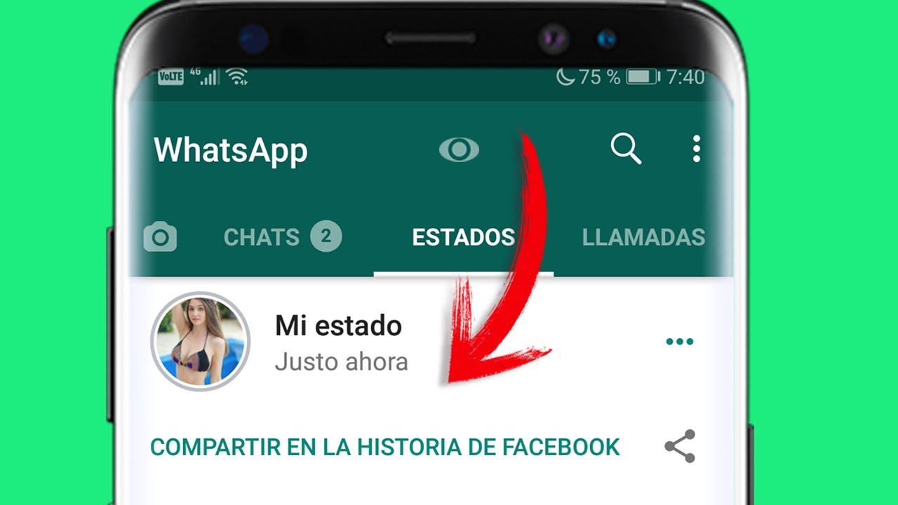 como ver los estados ocultos en whatsapp plus