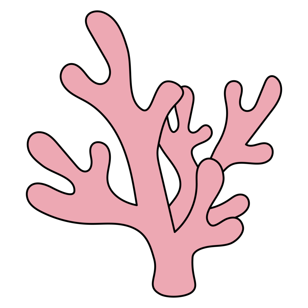 coral clipart