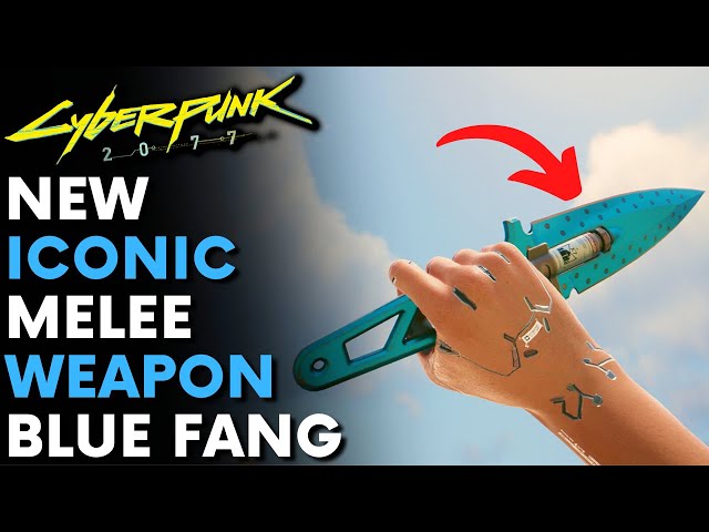 cyberpunk 2077 blue fang location