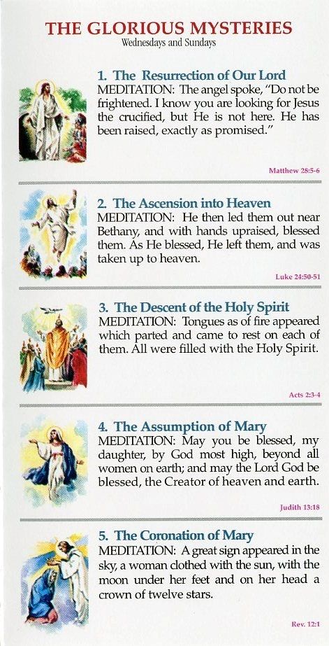 daily rosary prayer wednesday