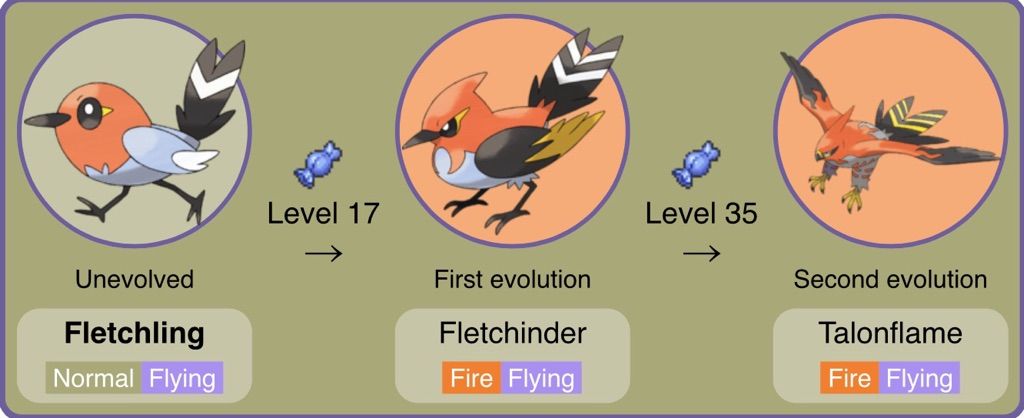 fletchinder evolve level