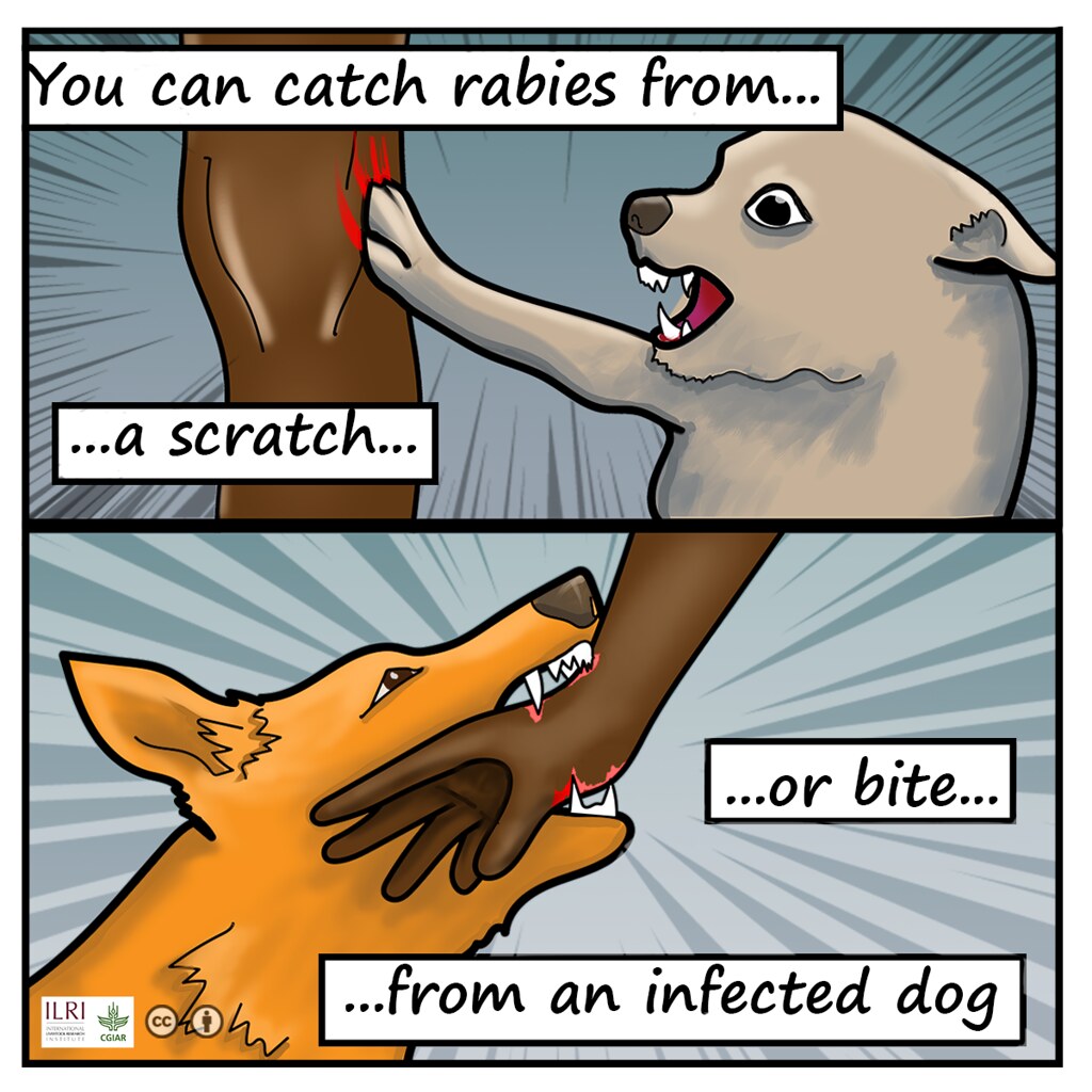 rabies comics