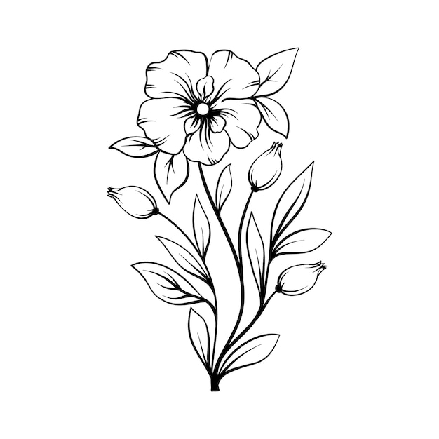 drawing outline flowers