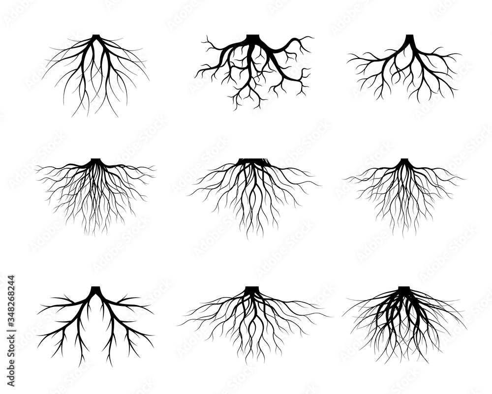 tree tattoo roots