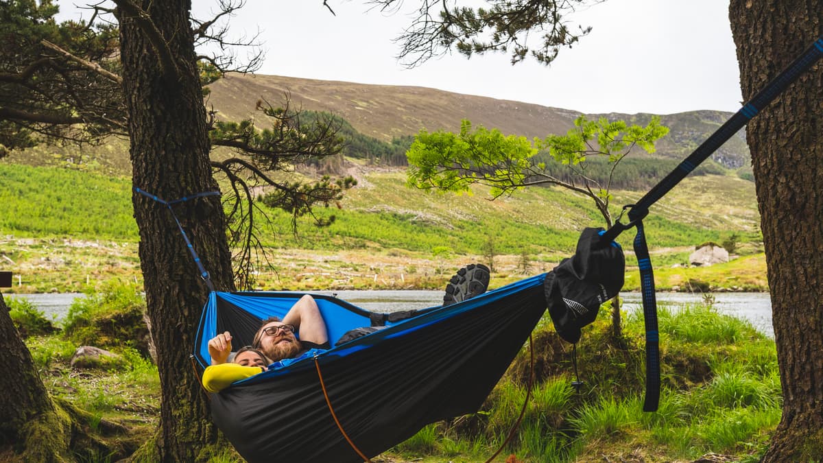 koala hammock