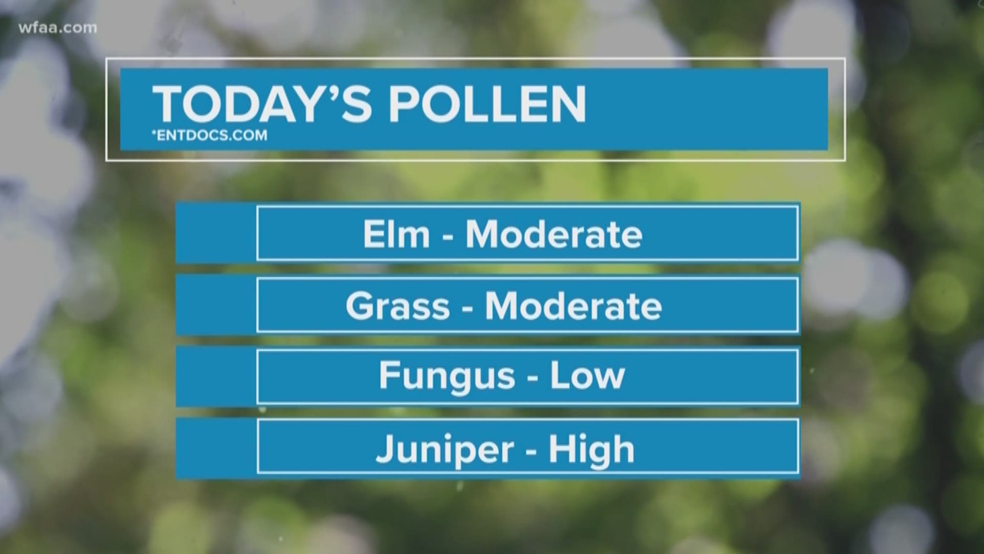 dfw allergies today