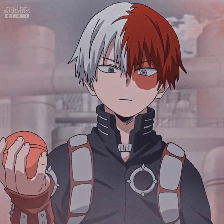 todoroki icons