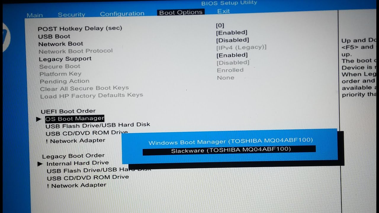 hp bios boot options