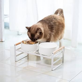 cat bowl and stand