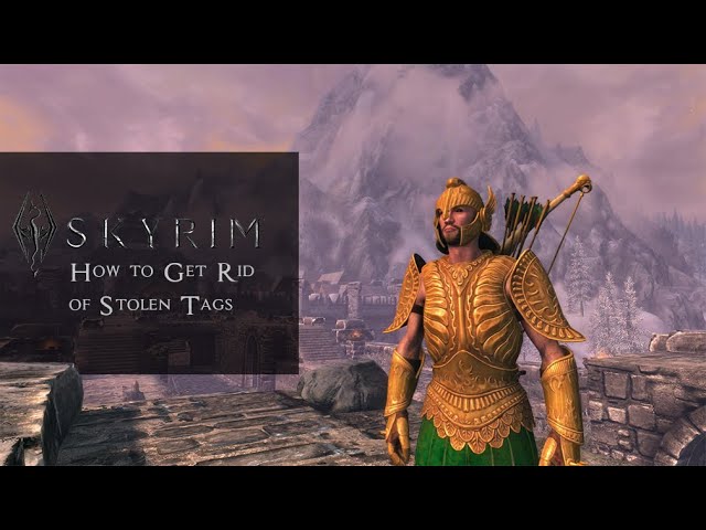 how to remove the stolen tag in skyrim