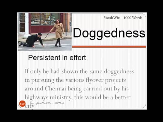 define doggedness