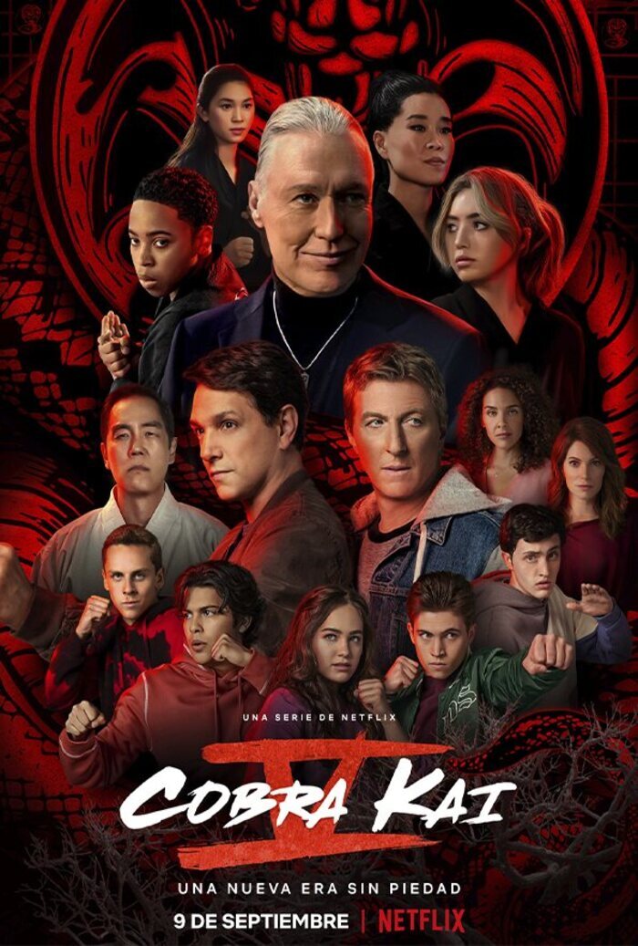 cobra kai season 2 online sub español