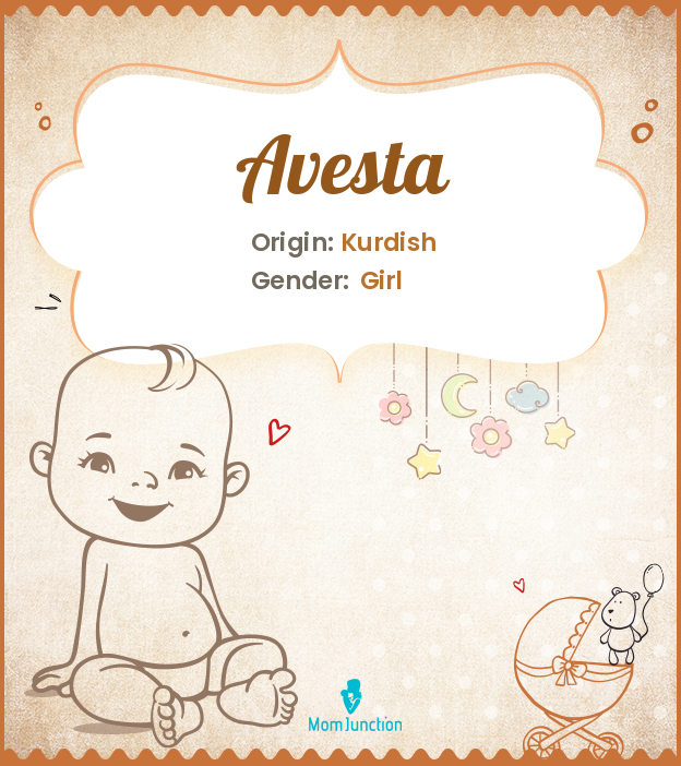 avesta meaning in hindi