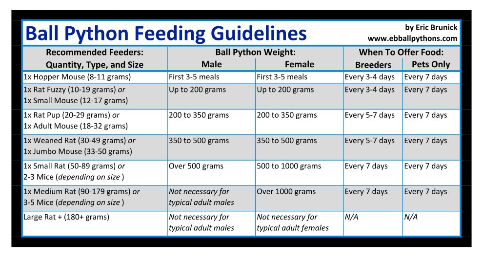 how much do ball pythons weigh