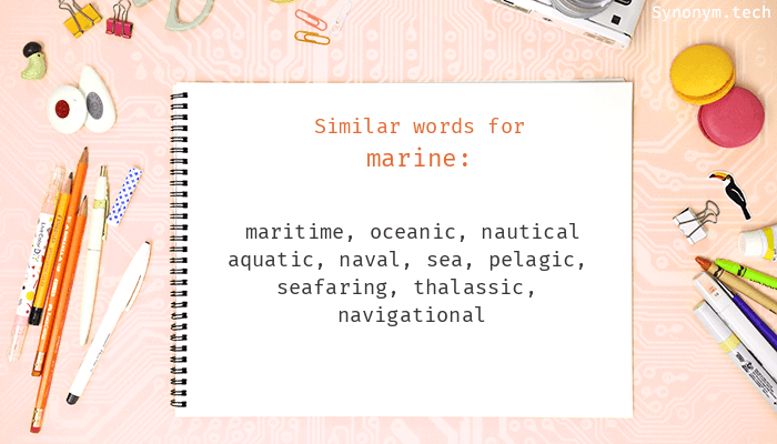 marine synonym