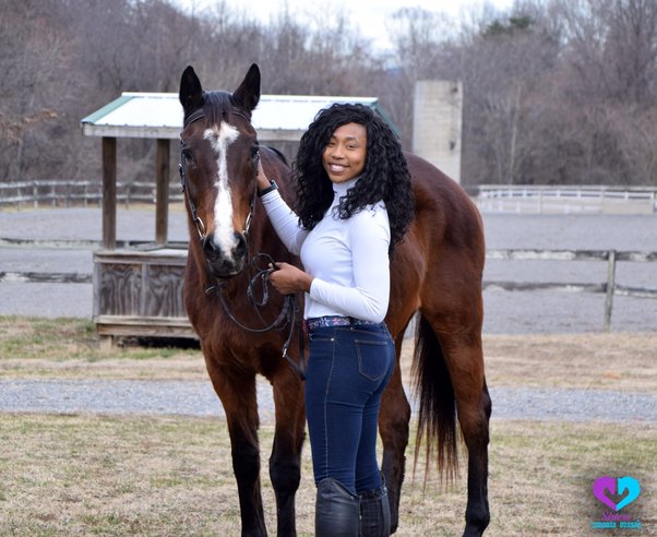 are mustang horses good for beginners