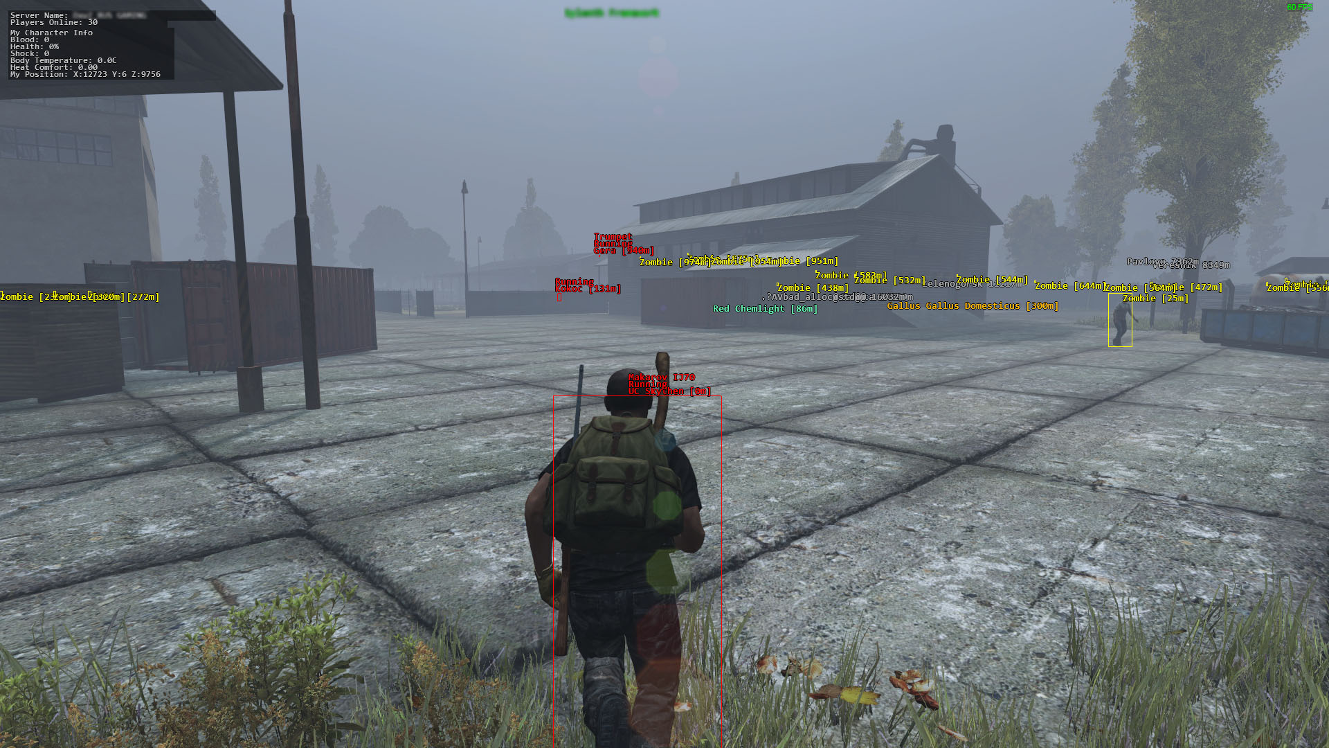 dayz aimbot