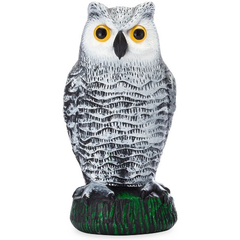 owl to scare away birds