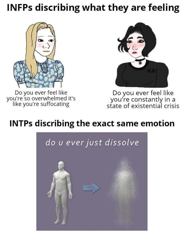 intp memes