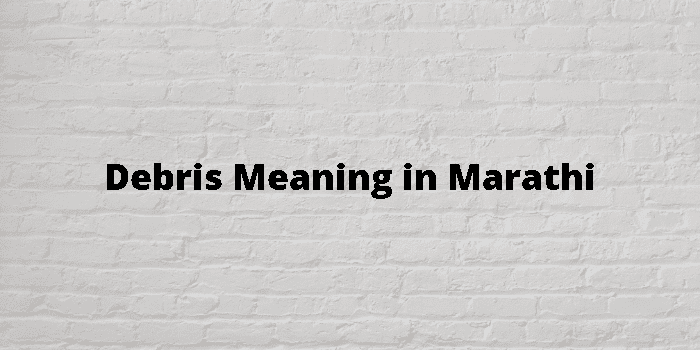 debris meaning in marathi