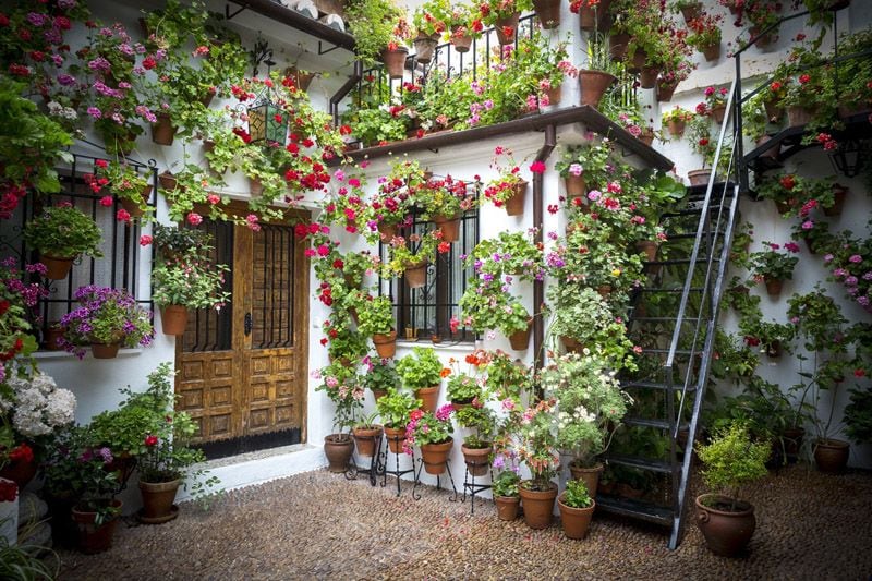 decoracion con plantas para patios