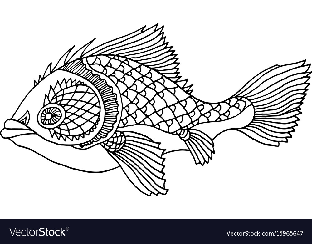 decorative fish drawing