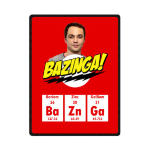 definition of bazinga