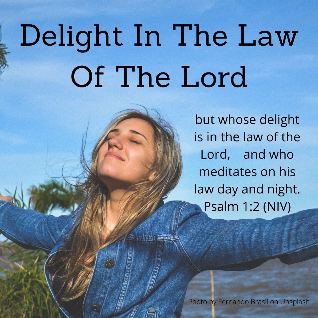 delight in the law of the lord