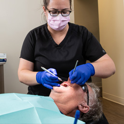 dentists in fredericton