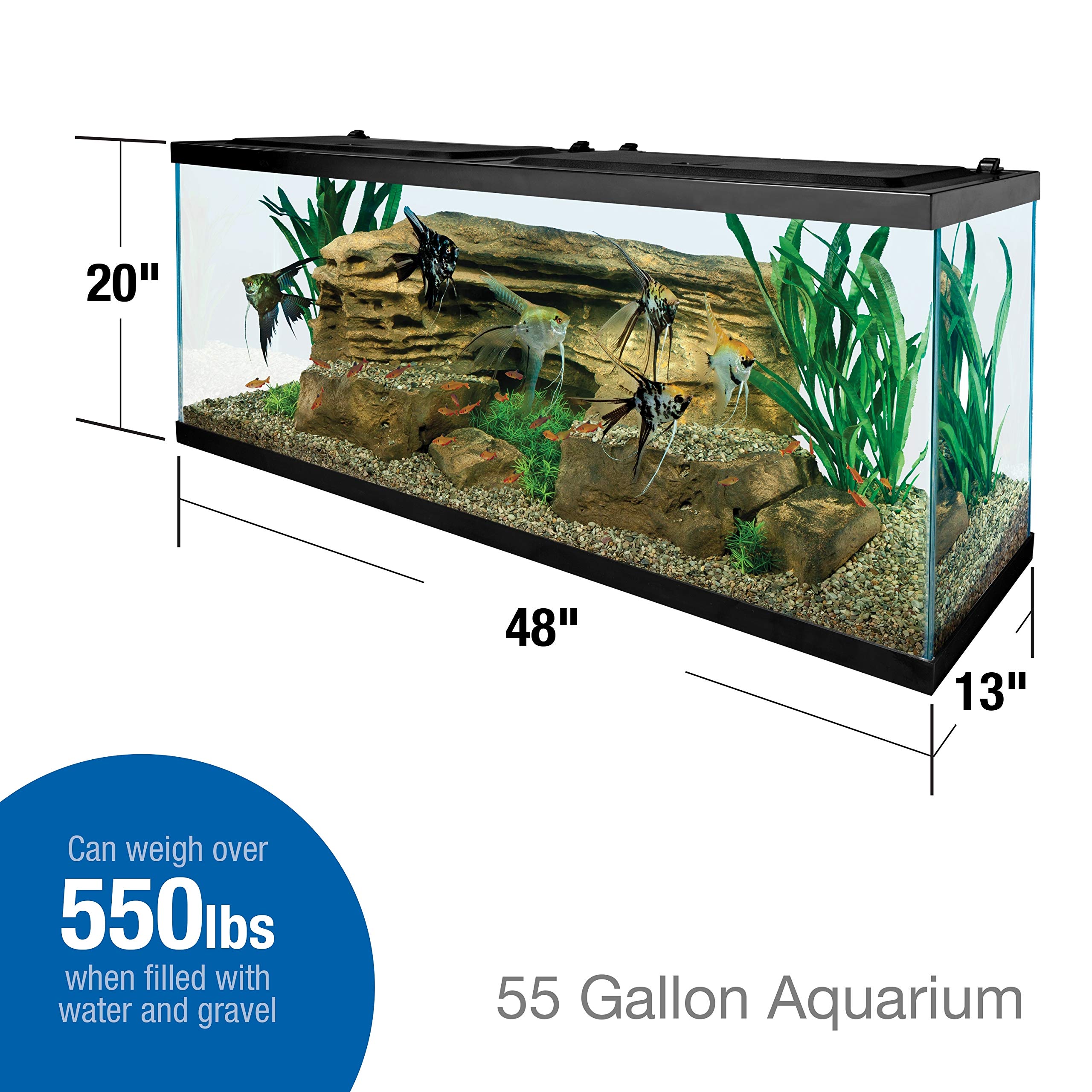 dimensions of 50 gallon fish tank