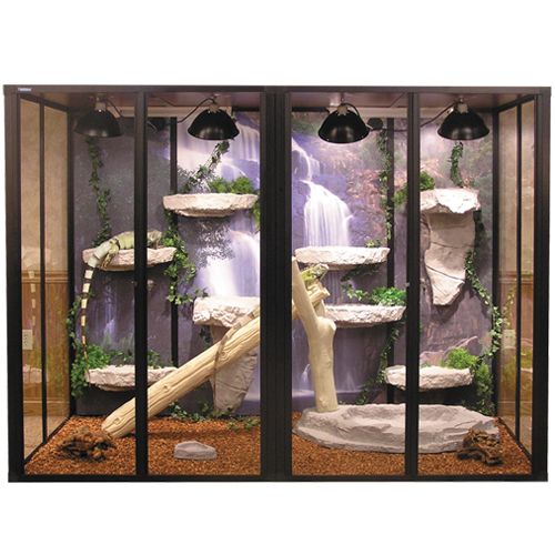 diy iguana enclosure