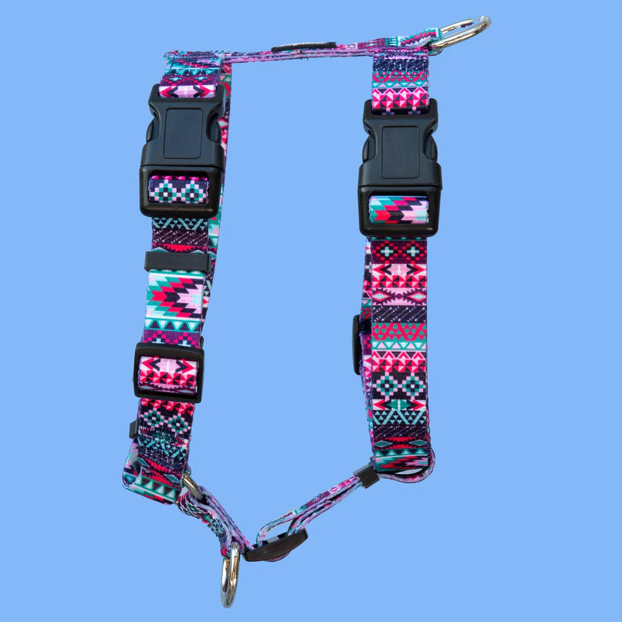 dizzy dog harness