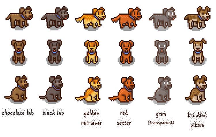 dog stardew valley