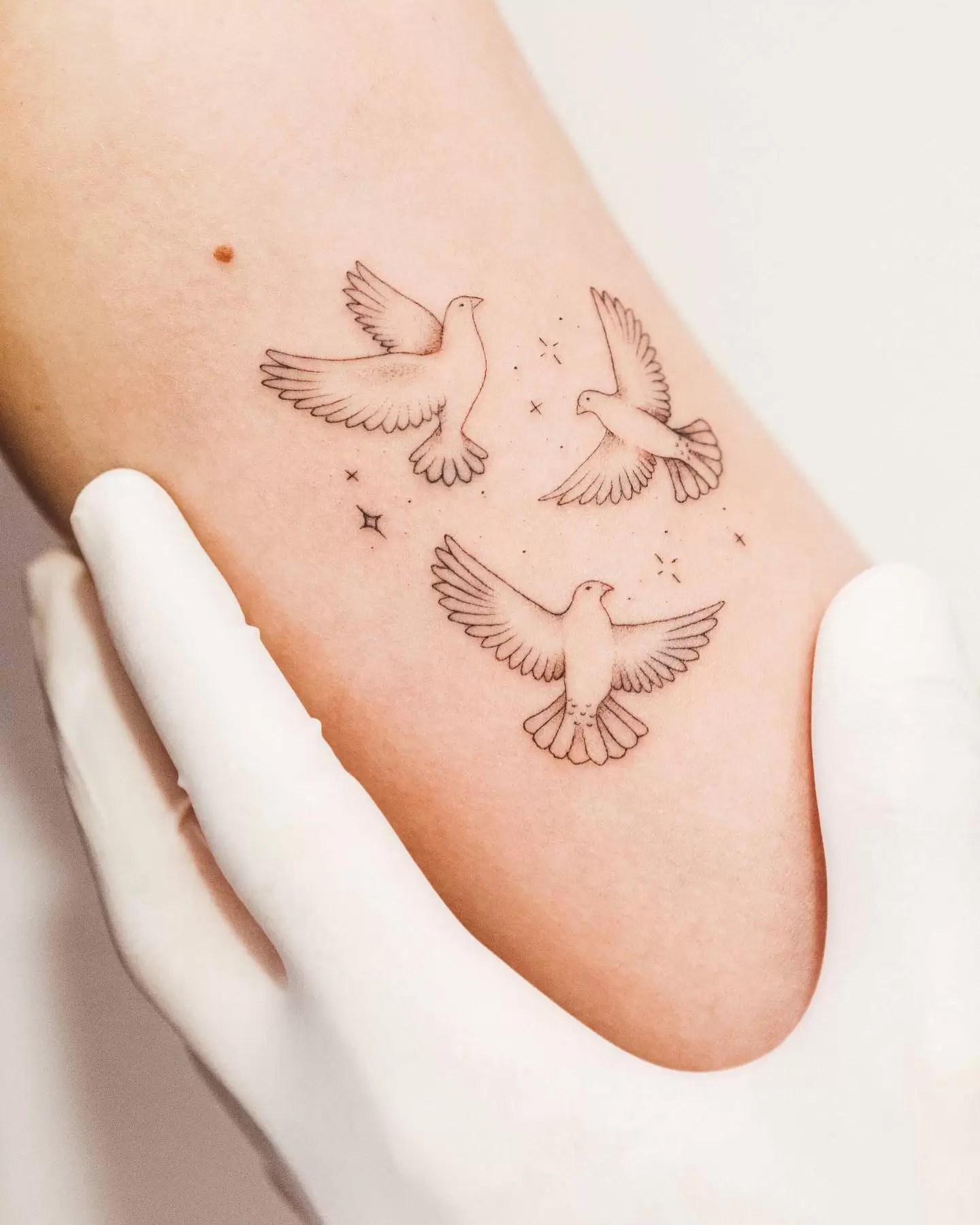 dove tattoo symbolism