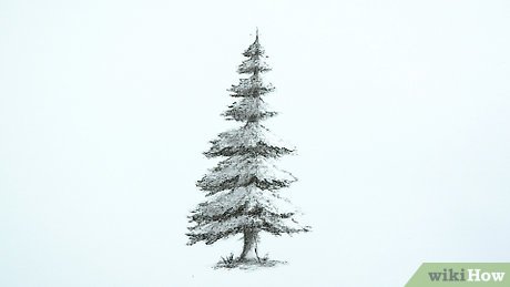 drawing realistic trees step by step