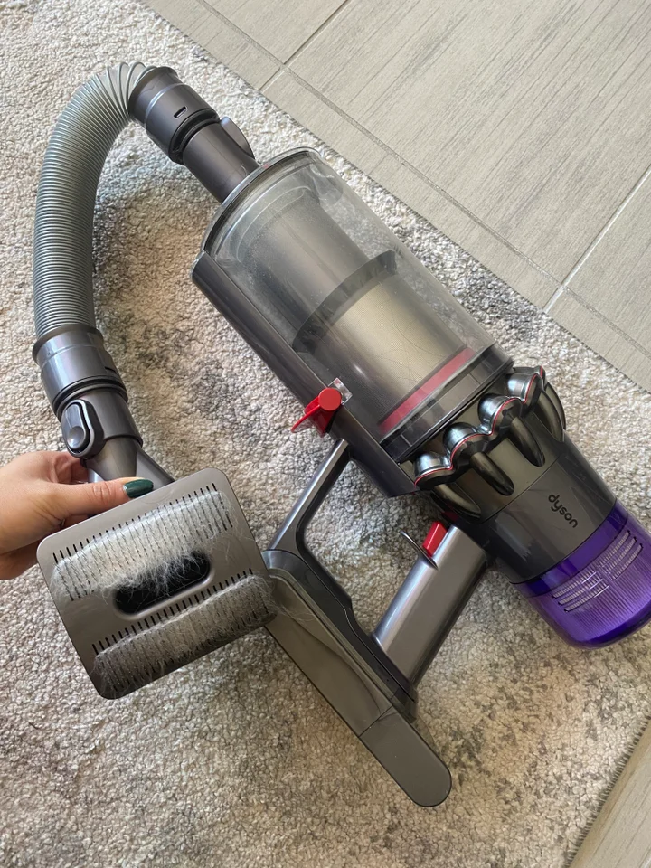 dyson groom